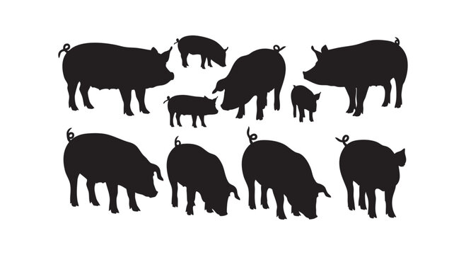 Collection of domestic pig silhouettes in various poses showing farm animals and livestock.