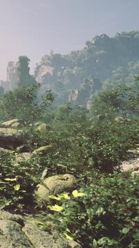 A vibrant scene unfolds with rich greenery covering large rocks and shrubs. Towering cliffs loom in the background, creating a tranquil atmosphere in this untouched wilderness.