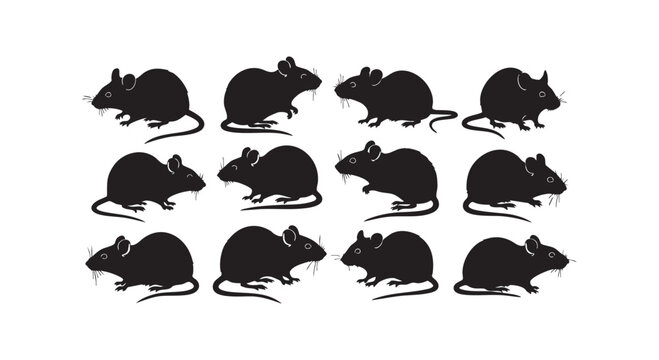 Collection of twelve black mouse silhouettes in rows with detailed ears and tails vector illustration.