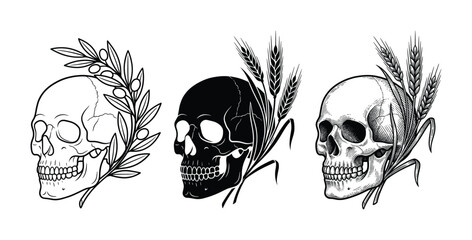 Fototapeta premium Detailed vector skull illustrations paired with natural elements like olive branches and wheat. Perfect for graphic design, logos, packaging, or vintage-themed projects.