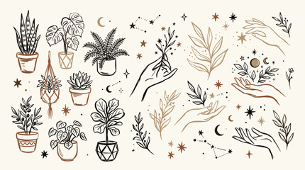 Fototapeta premium Bohemian celestial plant illustrations with hands and constellations, mystical botanical line art for spiritual decor and wellness designs