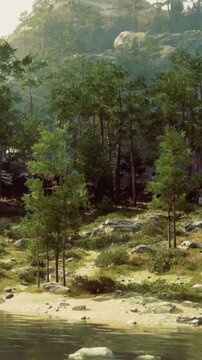 Lush greenery surrounds a calm water body as sunlight dances through the trees. Gentle rocks and a sandy shore create a peaceful escape in natures embrace, inviting moments of tranquil reflection.