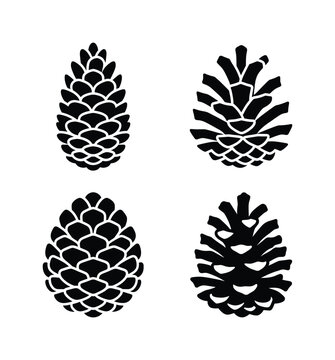 Four distinct black pinecone silhouettes in a clean vector style. Perfect for natural, forest, autumn, or winter holiday designs and decorations.