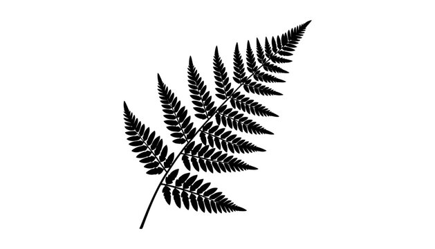 A fern leaf silhouette illustration on a white background