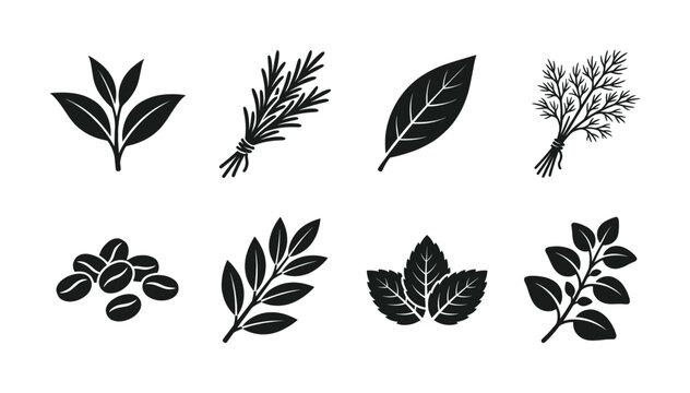 A collection of black silhouette vector icons featuring various natural ingredients: herbs, spices, leaves, and coffee beans. Ideal for food, organic, or healthy designs.