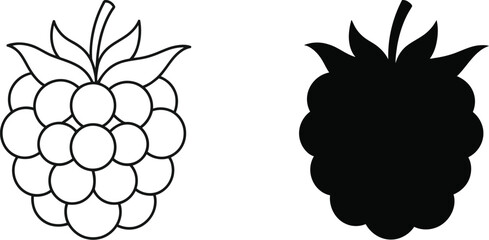 Raspberry and blackberry fruit line art with black silhouette icons isolated on white background for garden berry vector design elements. © Sumaiya