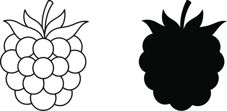 Raspberry and blackberry fruit line art with black silhouette icons isolated on white background for garden berry vector design elements.