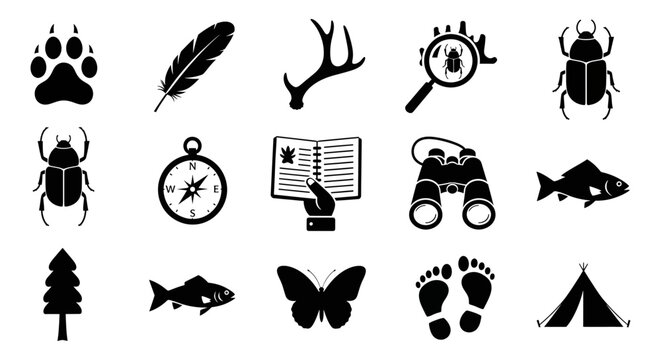 Collection of black silhouette icons for outdoor adventure and nature exploration activities