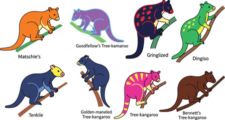 Colorful Tree-kangaroo Collection with Various Rare Marsupial Species Isolated on White © Firoz