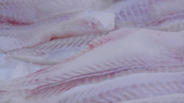 Seafood display with chilled cod. Closeup of icy cod fillets at market. Seafood market showcasing fresh chilled cod fillets layered on ice