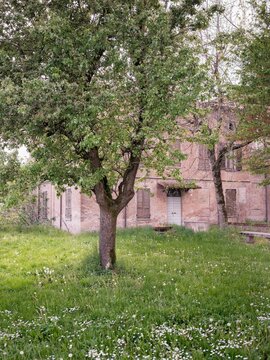 Giardino della chiesa dei Santi Pietro e Paolo