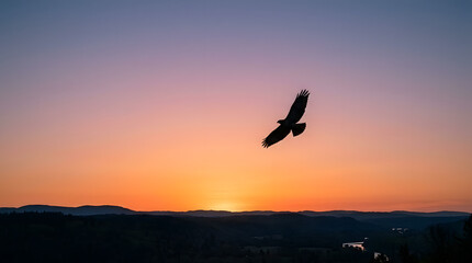Fototapeta premium silhouette of a flying eagle at sunset isolated on transparent background