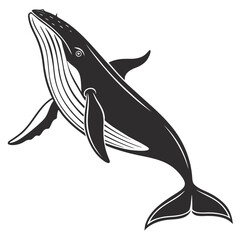 A striking black and white illustration depicts a humpback whale gracefully swimming showcasing its distinctive body shape and large flippers high quality © shahin9