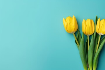 Naklejka premium Yellow tulips creating a vibrant spring composition on a blue background