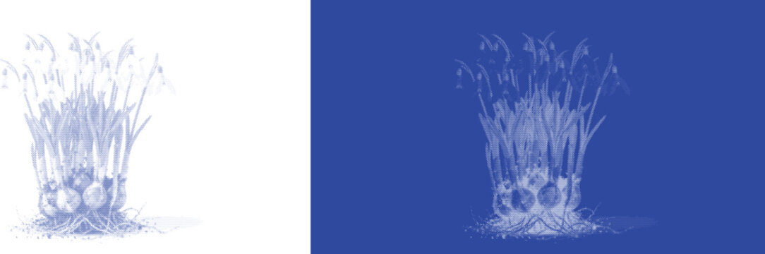 Dense floral bouquet cyanotype blue sunprint vector for retro botanical plant specimen herbarium art