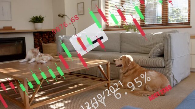 Lying golden dog in living room, watching cat pawing at appearing white card showing market data