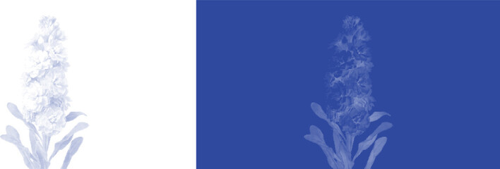 Foxglove bell cyanotype vector for fantasy book illustration and woodland theme decor © Josnara