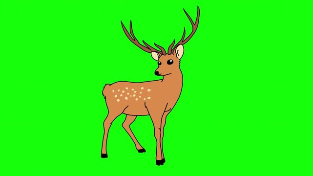 Animated Cartoon Deer Standing and Blinking on Green Screen