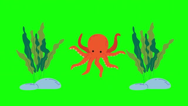 Cartoon Octopus Swimming on Green Screen