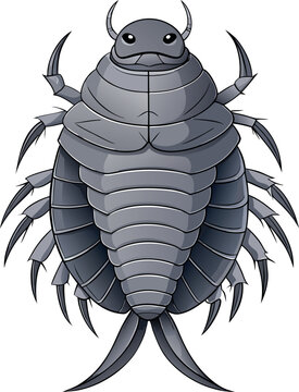 Minimal Flat Vector Giant Isopod Deep Sea Bathynomus Crustacean Marine Life