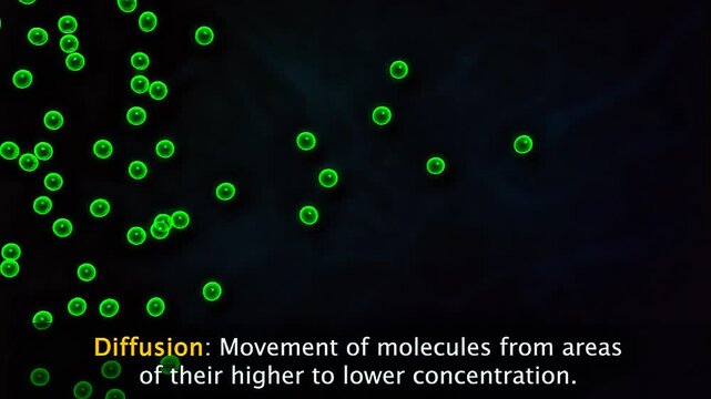 Process and Mechanism of diffusion