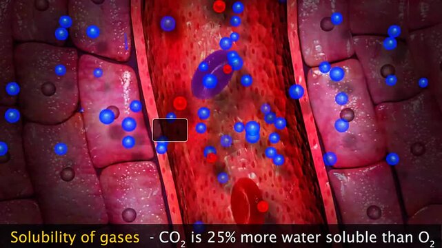 Solubility of gases durin respiration