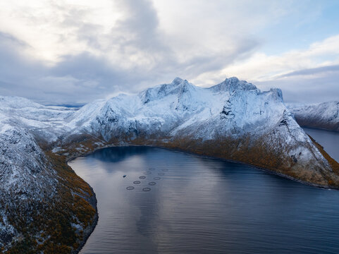 Aerial view of fish farm rings in a deep blue fjord surrounded by snow-capped mountains and autumn foliage in Husoy, Troms, Norway.