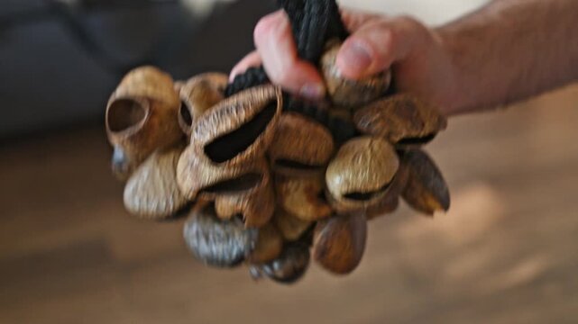 Man Shaking Up Nut Shell Rattle Close Up