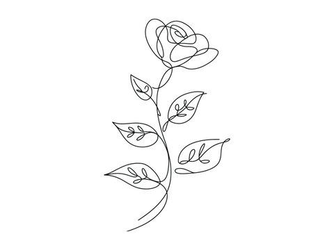 Minimalist line drawing of a single rose with leaves on a stem one line art style  simple elegant floral design