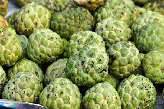 Custard Apple