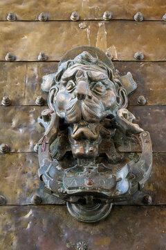 Ornate lion mascaron door knocker on paneled wood door