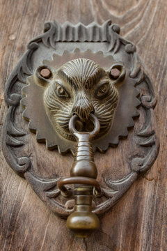 Lion head door knocker on carved oval wood panel