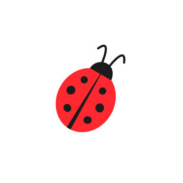Cute red ladybug minimalist flat icon