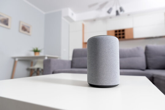 Smart speaker device in living room. Smart home.