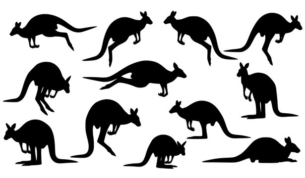 Dynamic kangaroo silhouette collection with jumping running and resting poses isolated on white