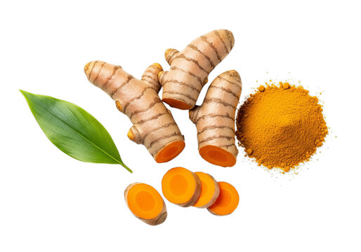 Fresh turmeric root ginger spice health organic culinary ingredient culinary spice exotic flavor natural remedy root