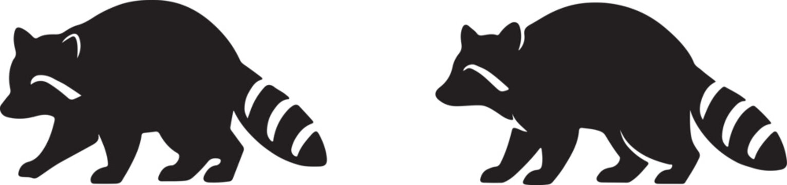 Survival Tactics and Adaptability of the Common Raccoon