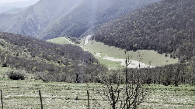 Paesaggio montano con montagne boscose e radure verdi illuminate dalla luce naturale. Un paesaggio tranquillo e incontaminato