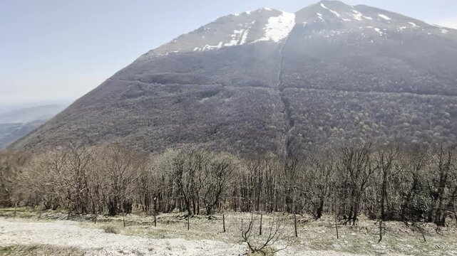 Ripresa naturalistica di una montagna con cima innevata e pendii boscosi spogli, in un paesaggio di fine inverno inizio primavera.