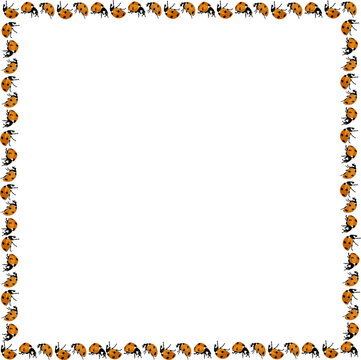 Frame with ladybugs. The concept of summer and spring.