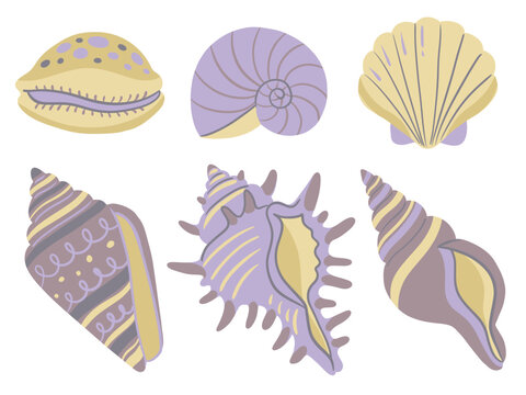 Collection of various hand drawn seashells isolated on white background