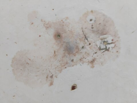 Textura de piso cer&acirc;mico com mancha de infiltra&ccedil;&atilde;o 02