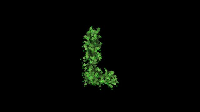 Green leaves forming letter L on transparent background

Fresh green foliage particles dynamically forming letter L shape with alpha channel for compositing

