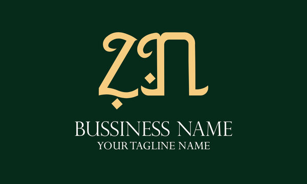 ZN Z zn initial logo | initial based abstract modern minimal creative logo, vector template image. luxury logotype logo, real estate homie logo. typography logo. initials logo