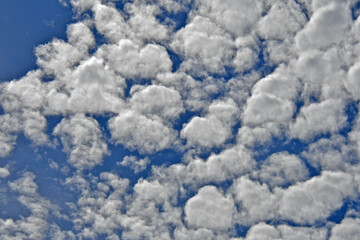 Altocumulus clouds are the most common clouds in the middle atmosphere. © John Nakata