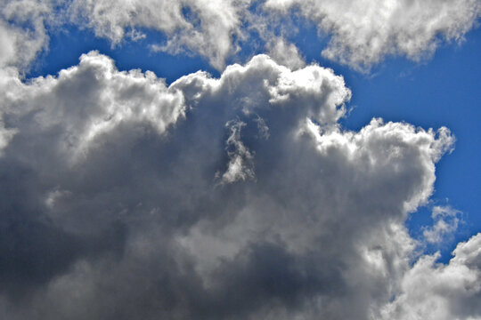 View up at fair weather cumulus clouds 