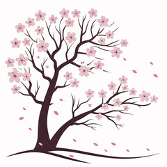 Fototapeta premium Cherry blossom tree with pink flowers and petals in a beautiful spring scene