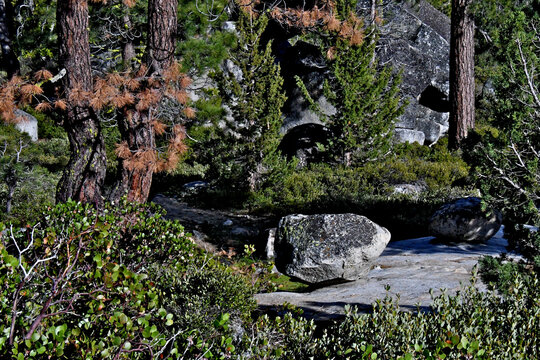 Large glacial erratic on glaciated surface. These large boulders were brought in by glacier and dropped when the glaciers melted, Central Sierra Nevada, California 