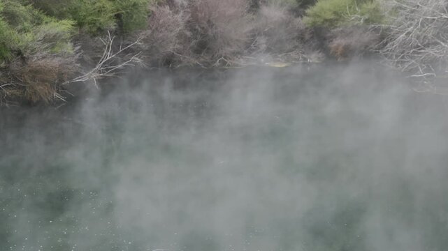 Steam rises from a geothermal pool surrounded by lush vegetation in Tokaanu Thermal Walk, Tokaanu, Waikato, New Zealand. The natural phenomenon showcases the Earth's power.