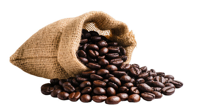 Burlap sack spilling roasted coffee beans, isolated on transparent background